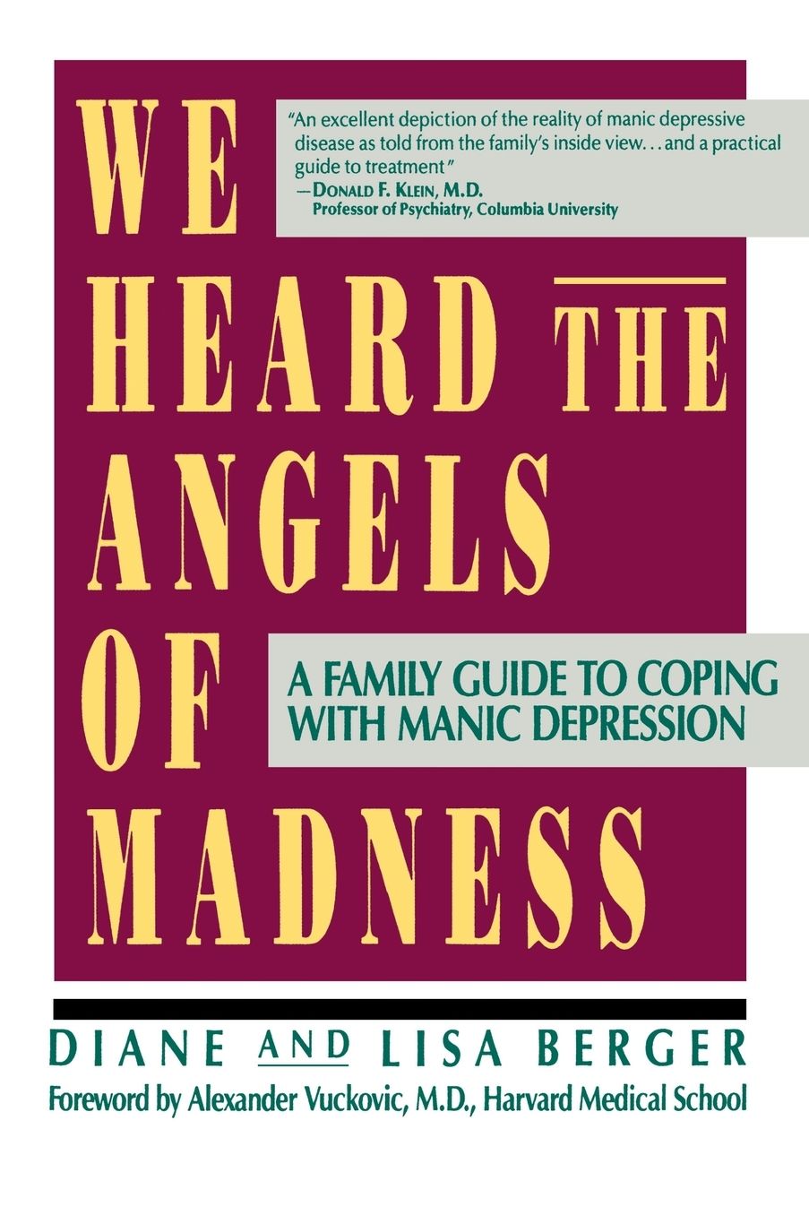 We Heard the Angels of Madness: A Family Guide to Coping with Manic Depression