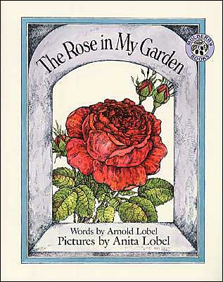 The Rose in My Garden