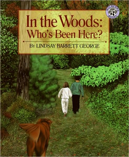 In the Woods - Who's Been Here?