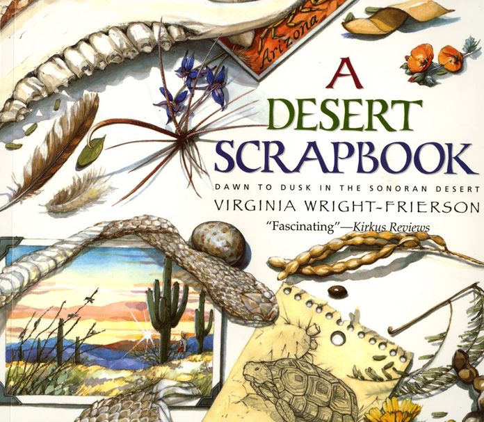 Desert Scrapbook: From Dawn to Dusk in the Sonoran Desert