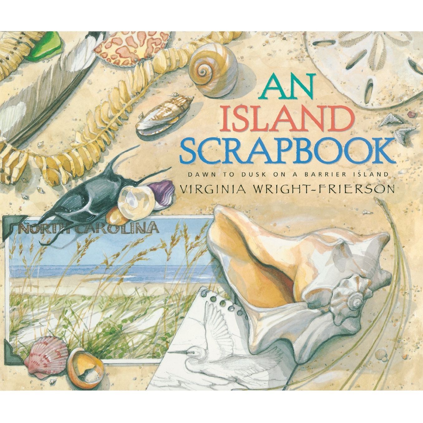 An Island Scrapbook: Dawn to Dusk on a Barrier Island