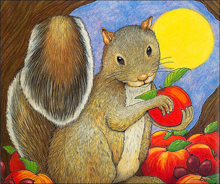 The Busy Little Squirrel