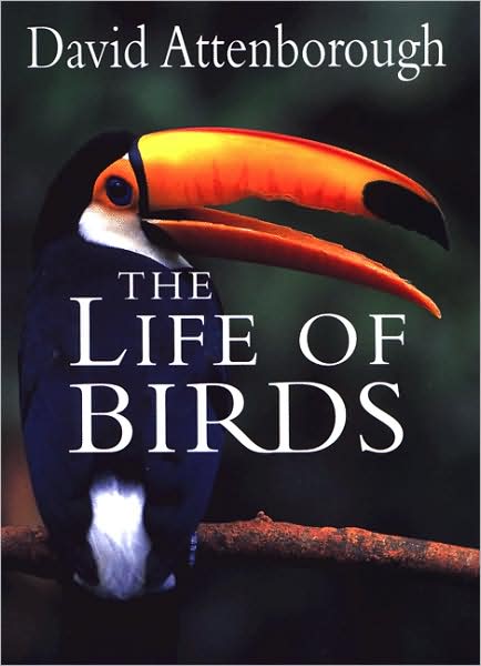The Life of Birds