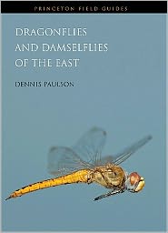 Dragonflies and Damselflies of the East