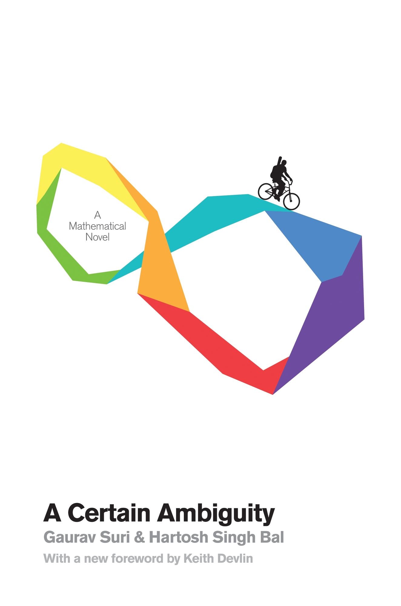 A Certain Ambiguity: A Mathematical Novel (New in Paper)