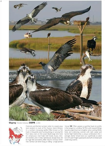 The Crossley ID Guide: Eastern Birds