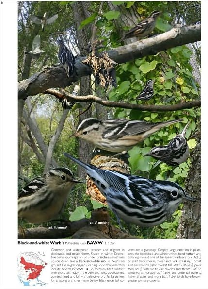 The Crossley ID Guide: Eastern Birds