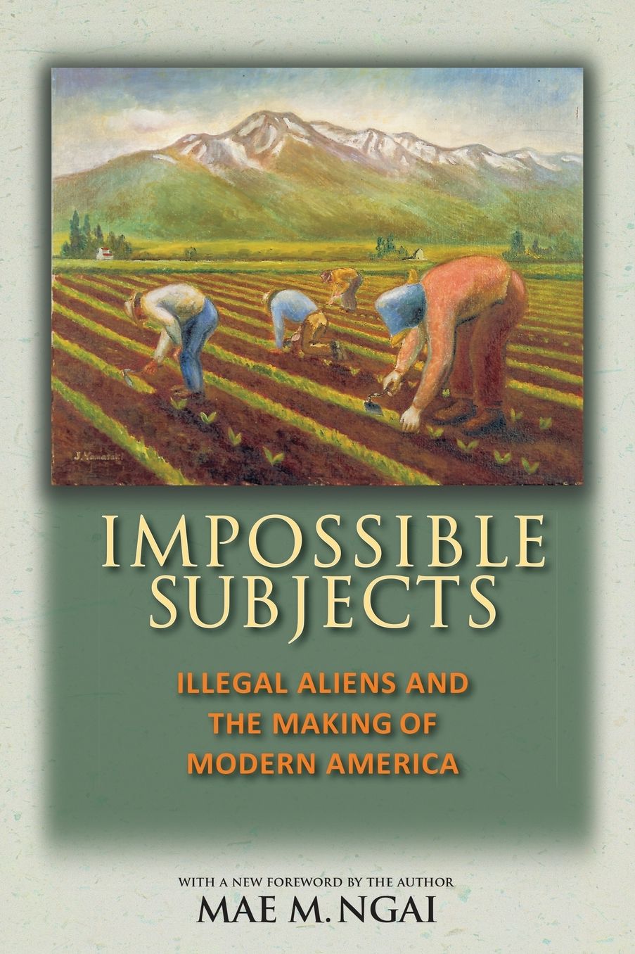 Impossible Subjects : Illegal Aliens and the Making of Modern America