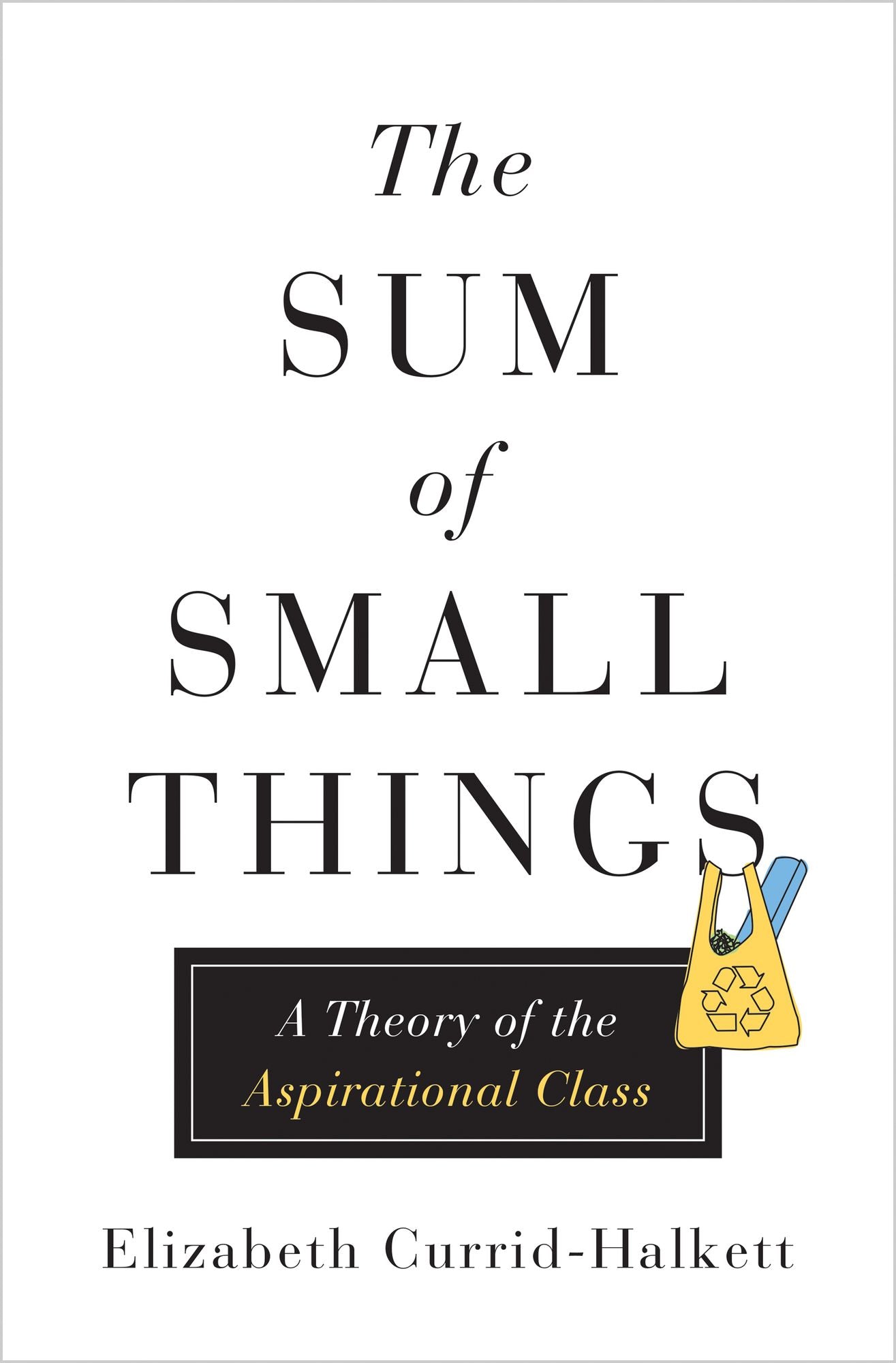 The Sum of Small Things : A Theory of the Aspirational Class