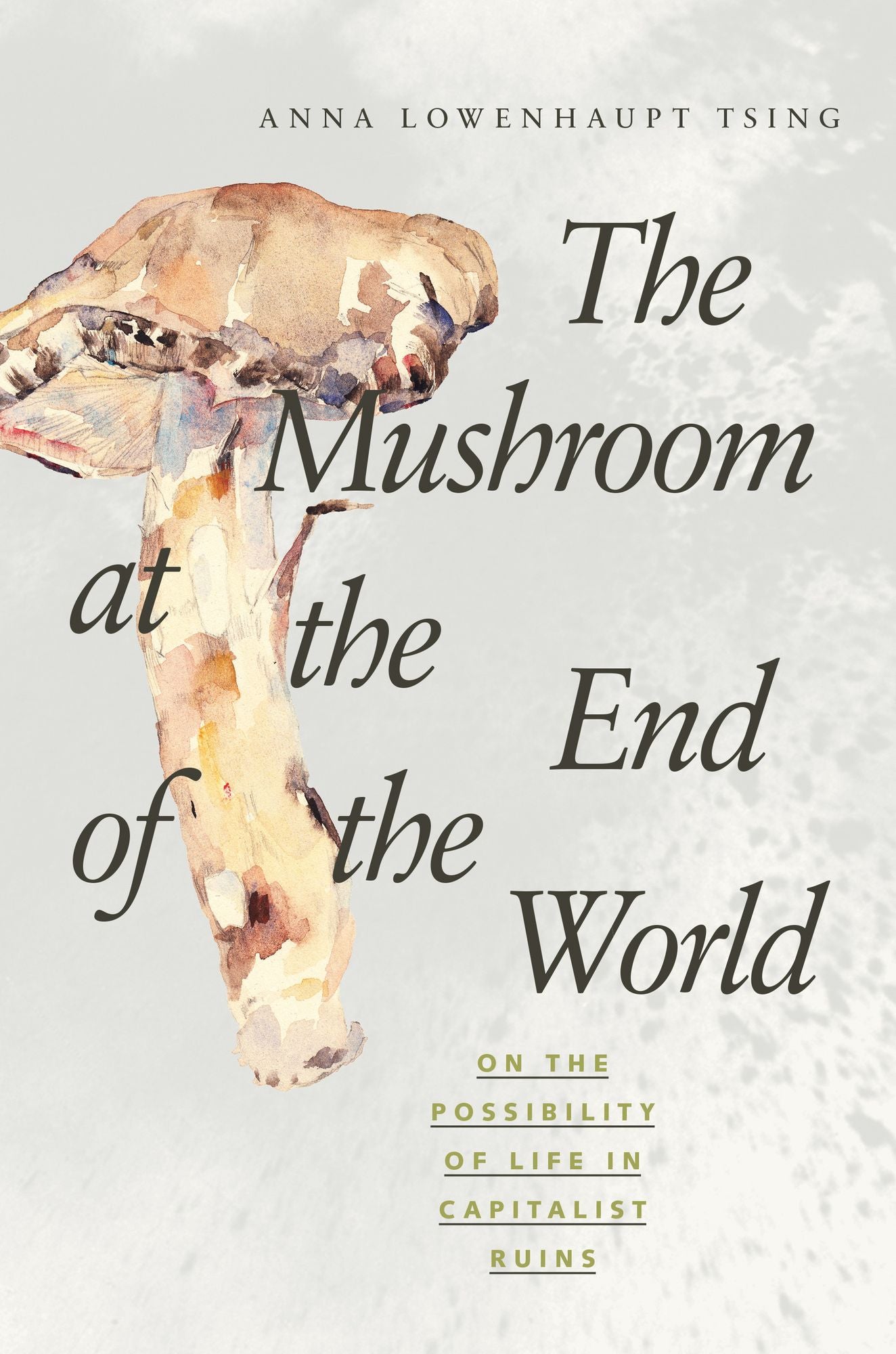 Mushroom At the End of the World