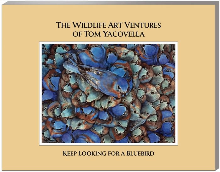 The Wildlife Art Ventures of Tom Yacovella