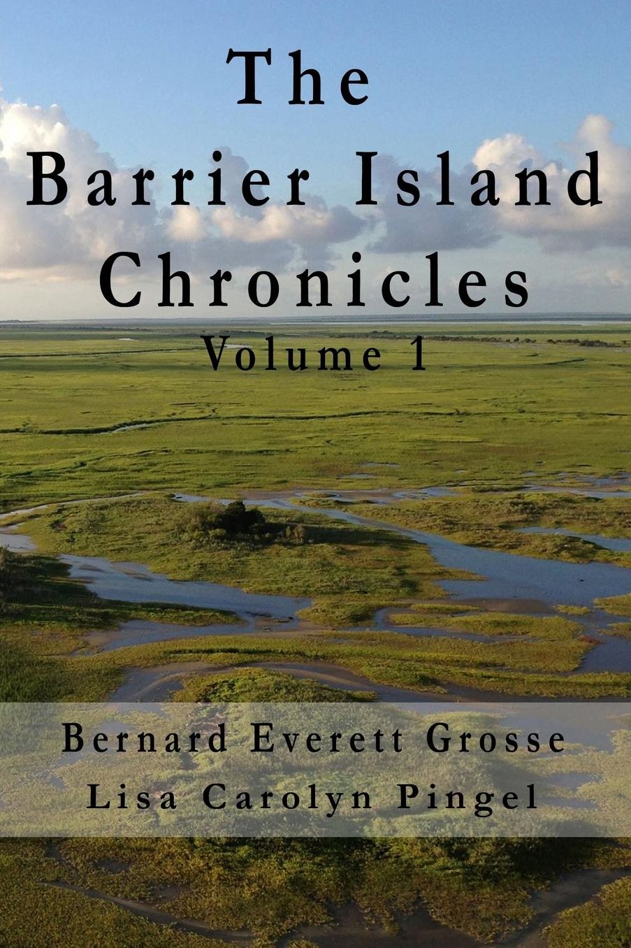 The Barrier Island Chronicles Volume 1