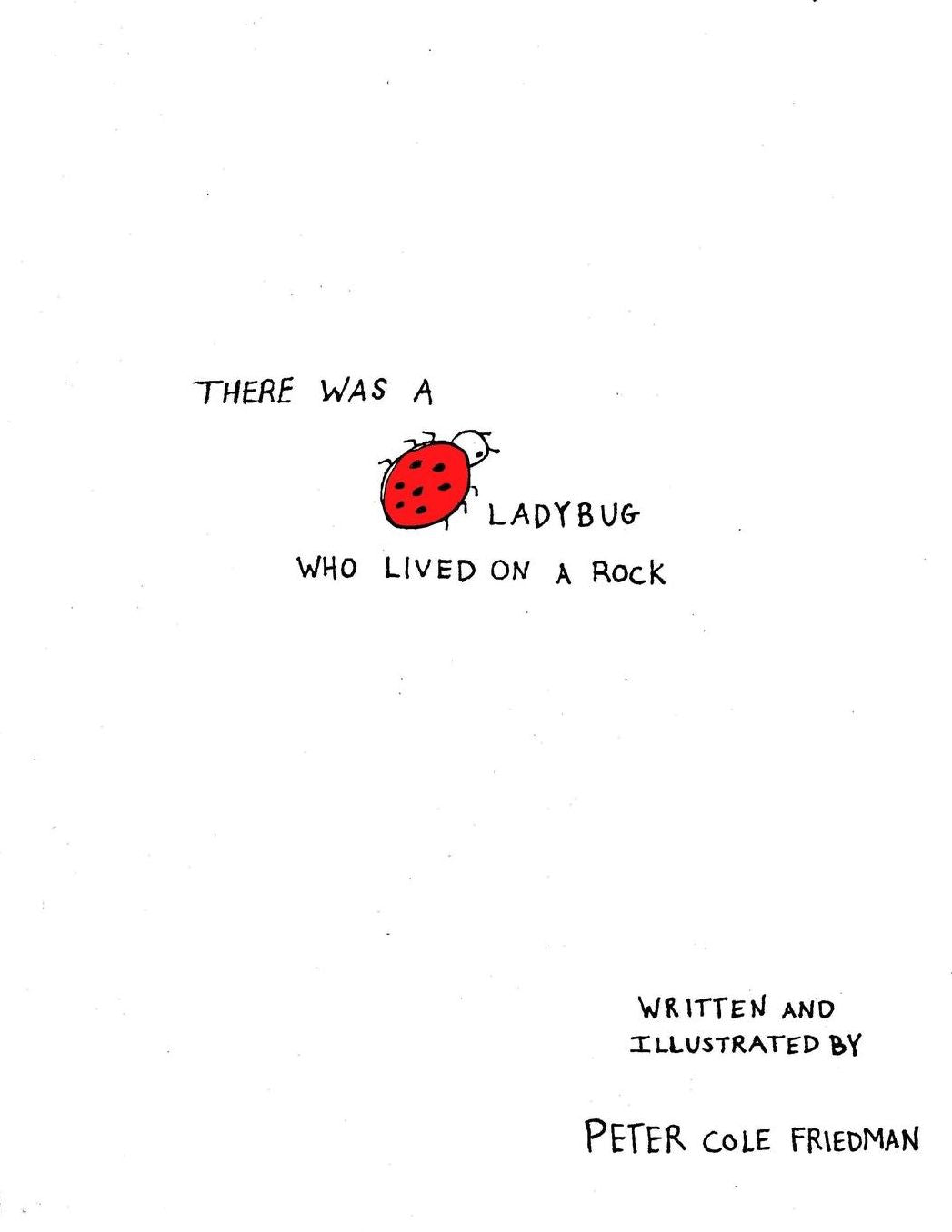 There Was a Ladybug Who Lived on a Rock