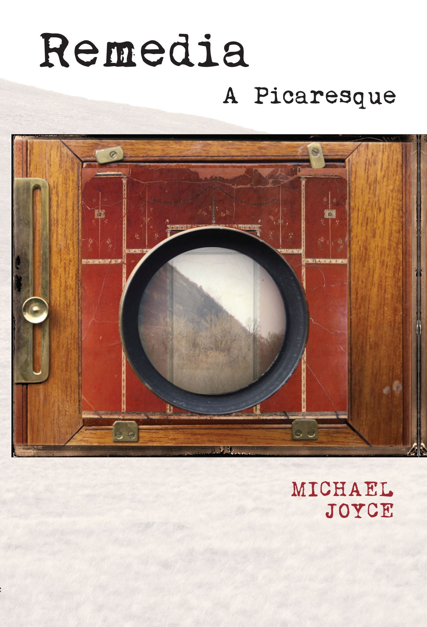 Remedia: A Picaresque