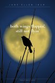 Both Wings Flappin', Still Not Flyin'