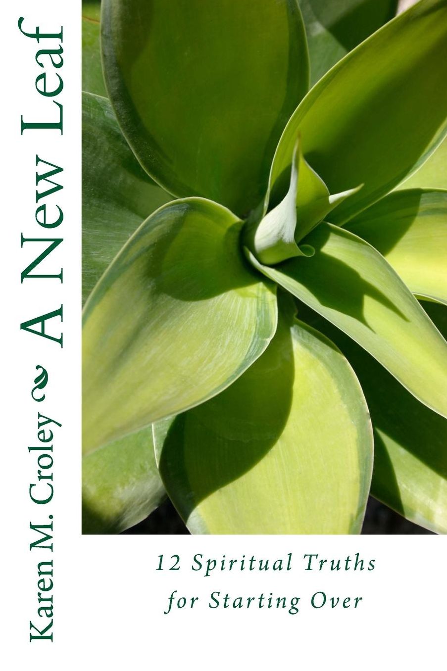 A New Leaf: 12 Spiritual Truths For Starting Over