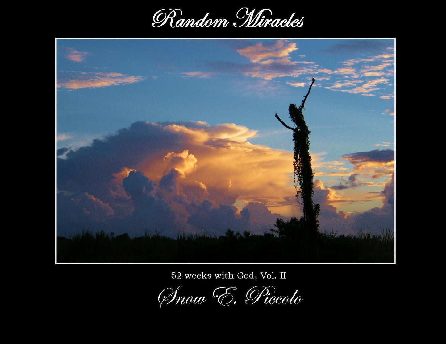 Random Miracles: 52 Weeks with God, Vol. II