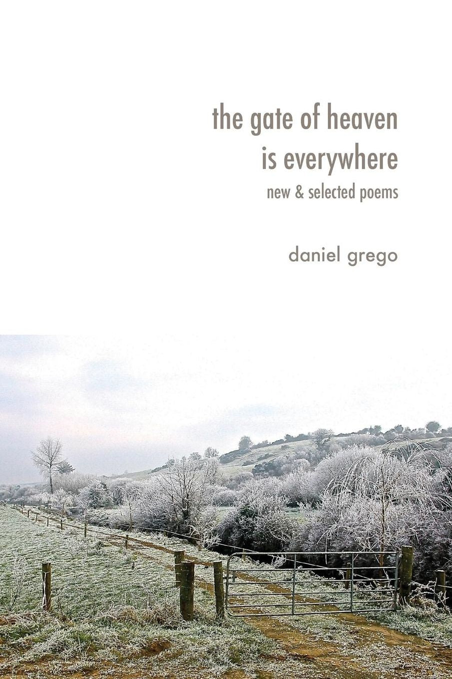 The Gate of Heaven Is Everywhere: New & Selected Poems