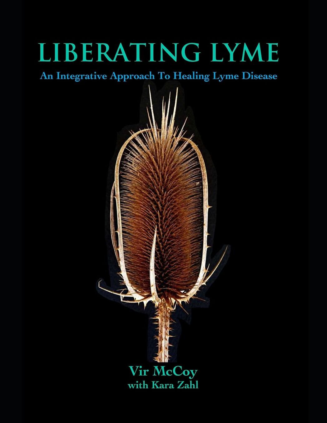 Liberating Lyme: An Integrative Approach To Healing Lyme Disease