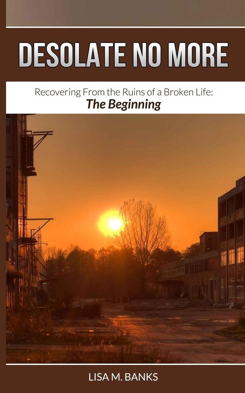 Desolate No More: Recovering From the Ruins of a Broken Life: The Beginning