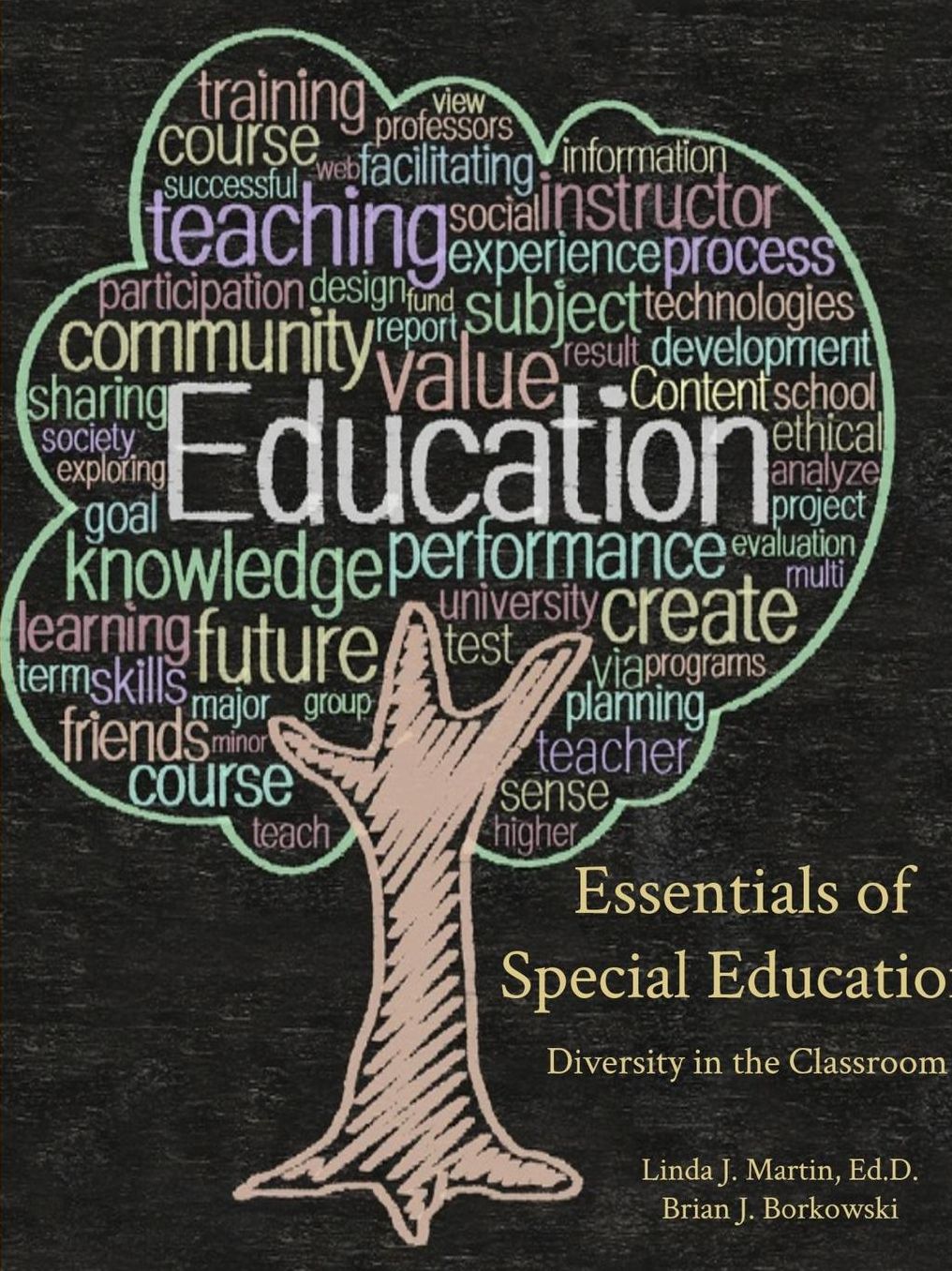 Essentials of Special Education: Diversity in the Classroom
