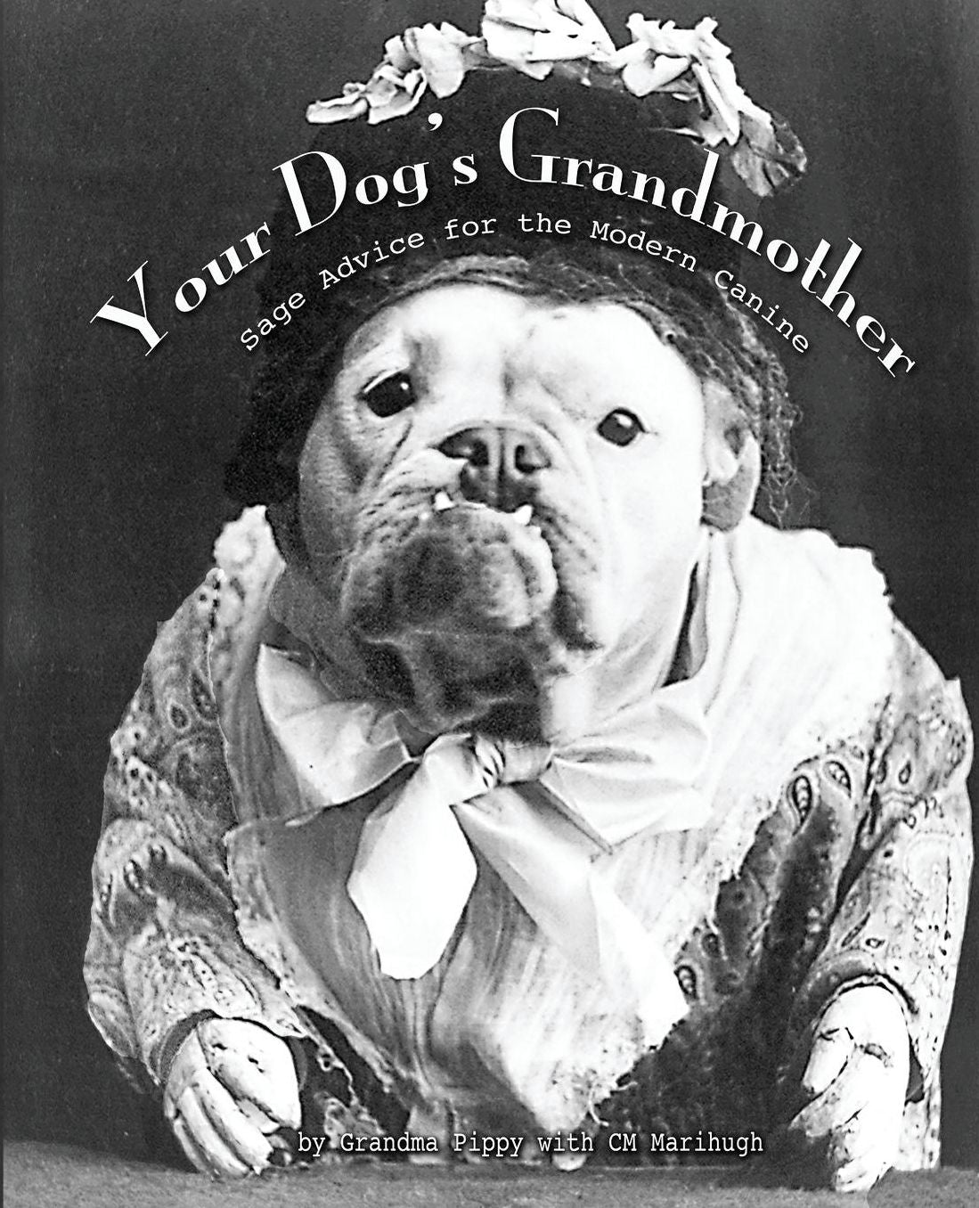 Your Dog's Grandmother: Sage Advice for the Modern Canine
