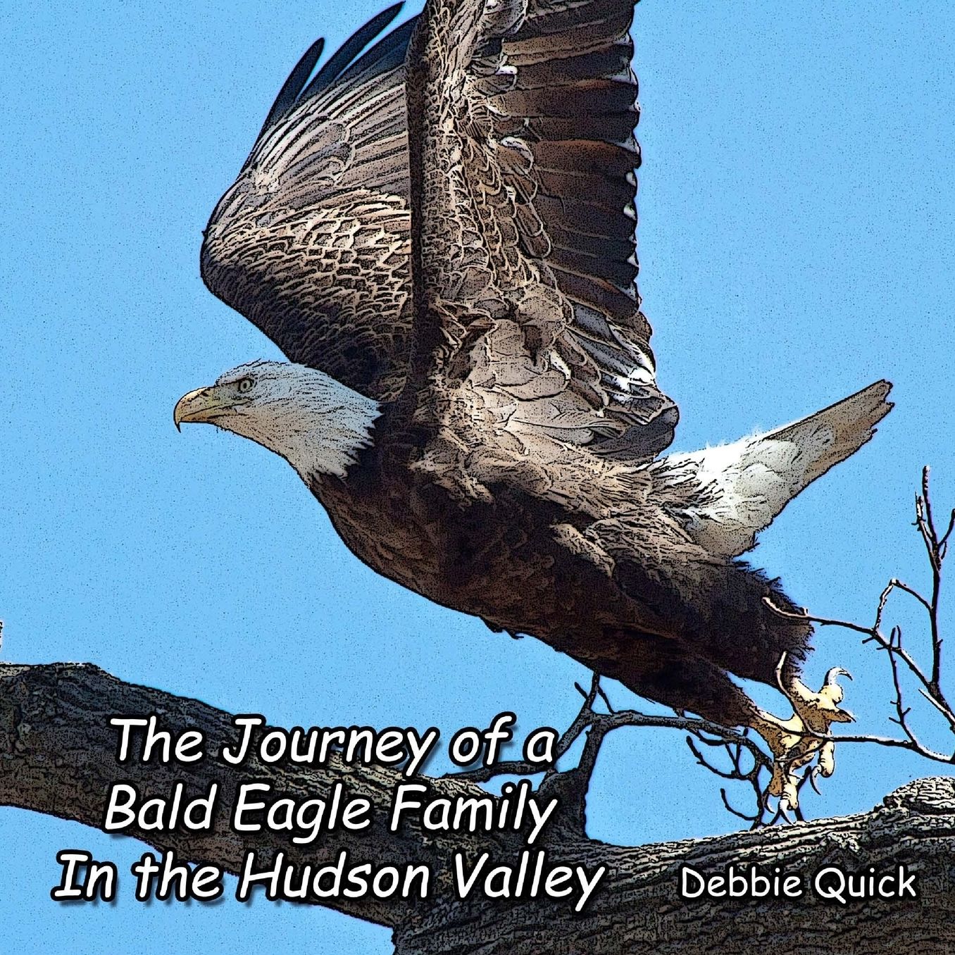 The Journey of a Bald Eagle Family: In the Hudson Valley