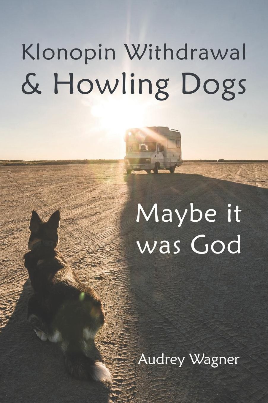 Klonopin Withdrawal & Howling Dogs: Maybe it was God