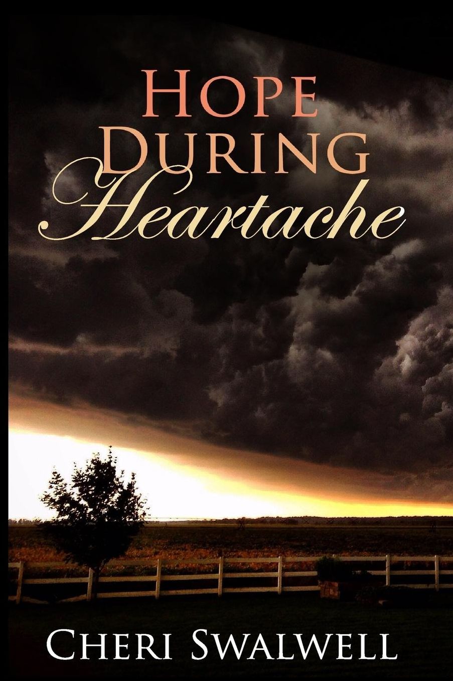 Hope During Heartache: True Stories of Emotional Healing from Infertility, Miscarriage, Stillbirth, or Death of a Child