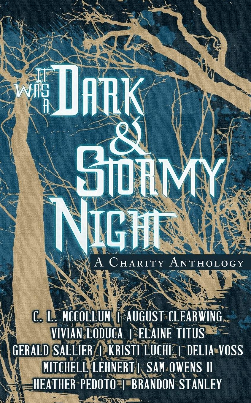 It Was A Dark & Stormy Night: A Charity Anthology