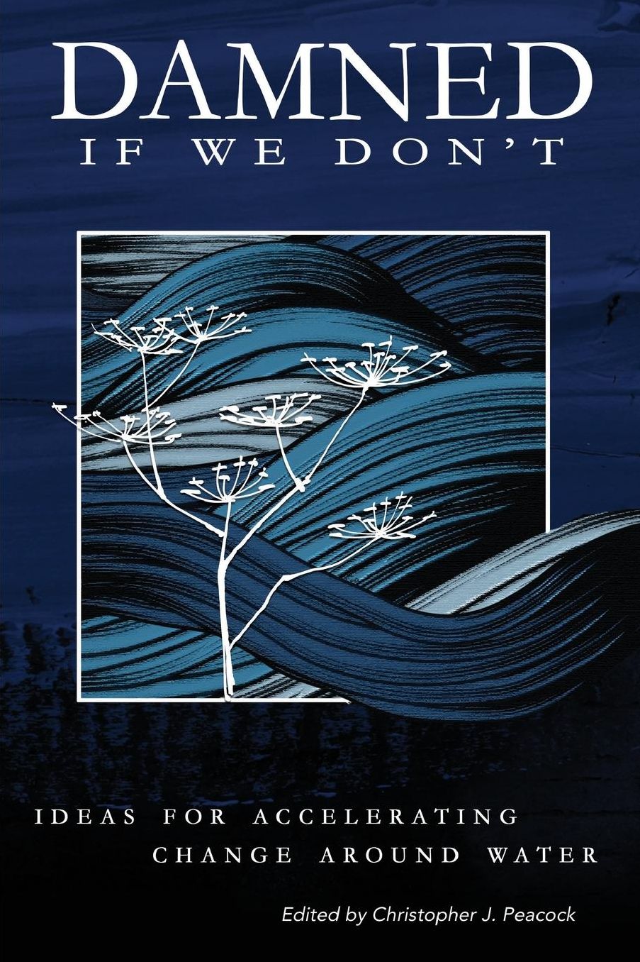 Damned if We Don't!: Ideas for accelerating change around water