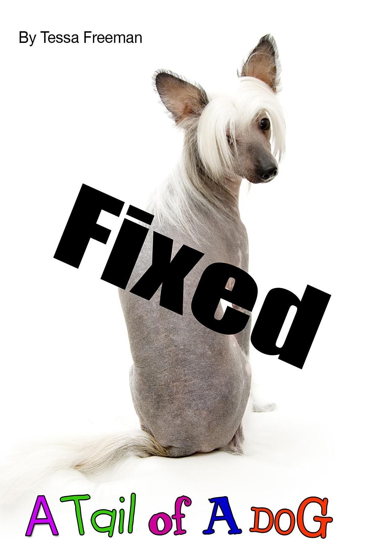 Fixed: A Tail of a Dog