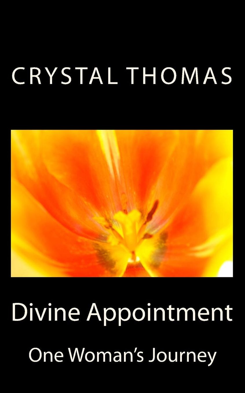 Divine Appointment: One Woman's Journey