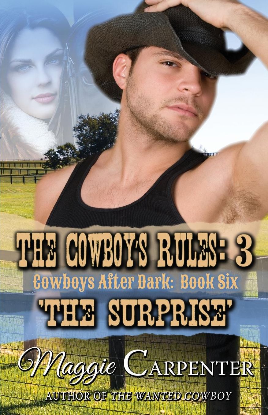 The Cowboy's Rules: 3 The Surprise