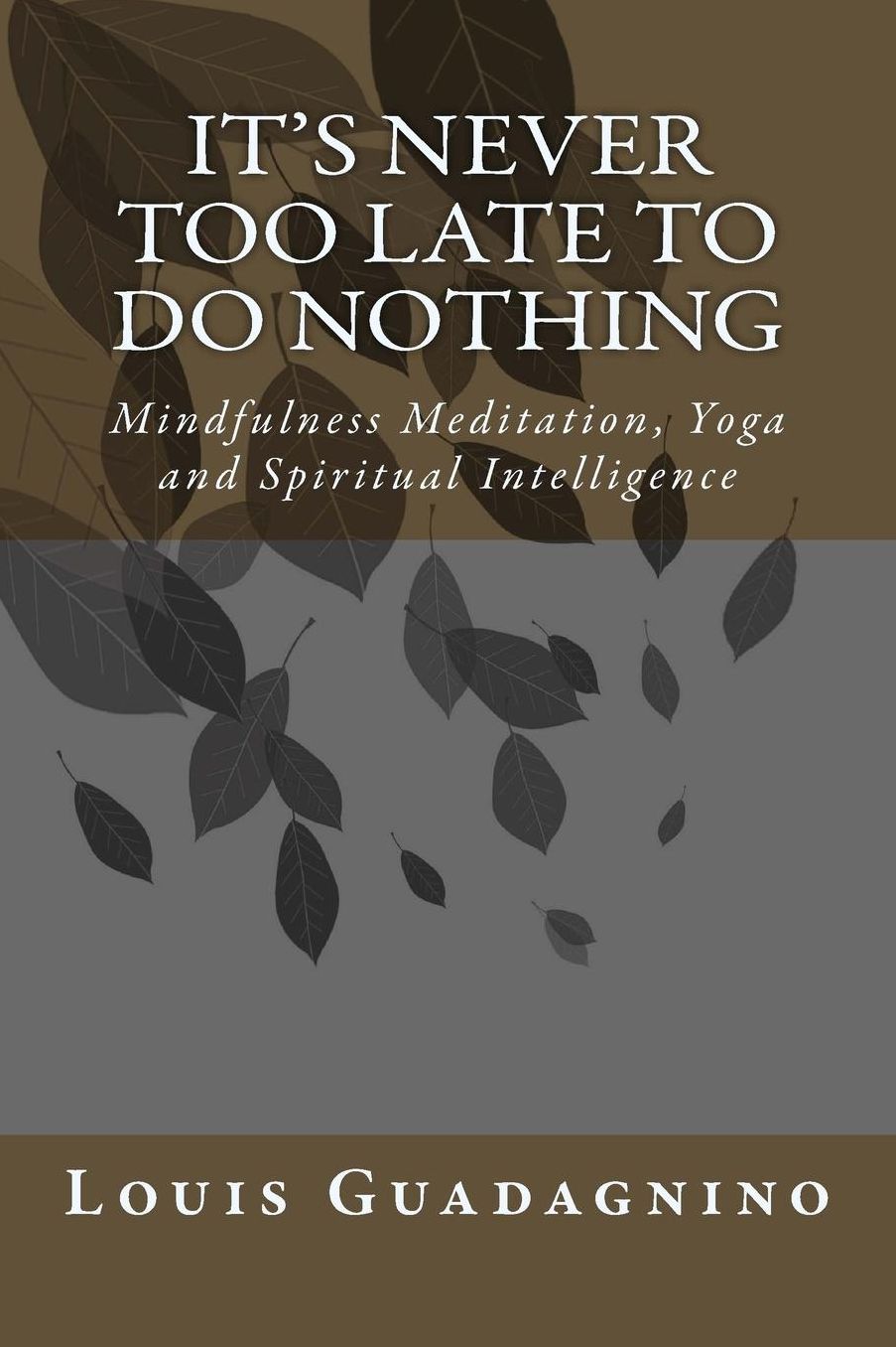 It's Never Too Late To Do Nothing: Mindfulness Meditation, Yoga and Spiritual Intelligence