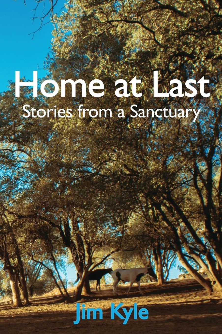 Home at Last: Stories from a Sanctuary