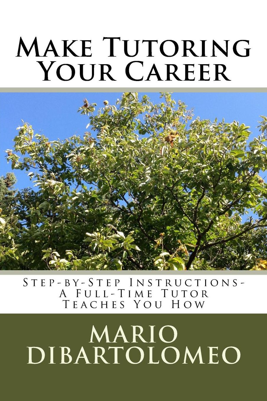 Make Tutoring Your Career: Step-by-Step Instructions- A Full-Time Tutor Teaches You How