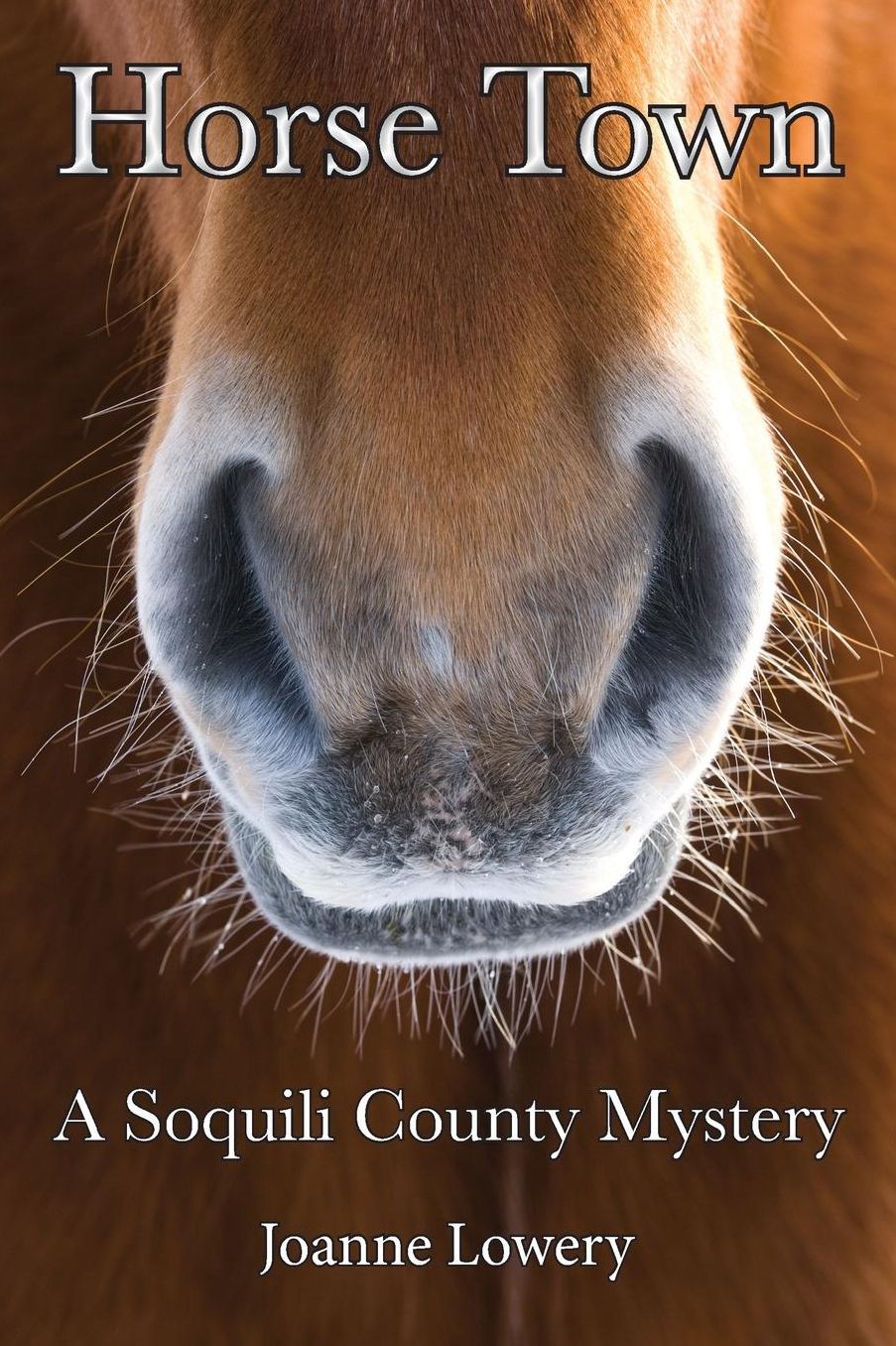 Horse Town: A Soquili County Mystery