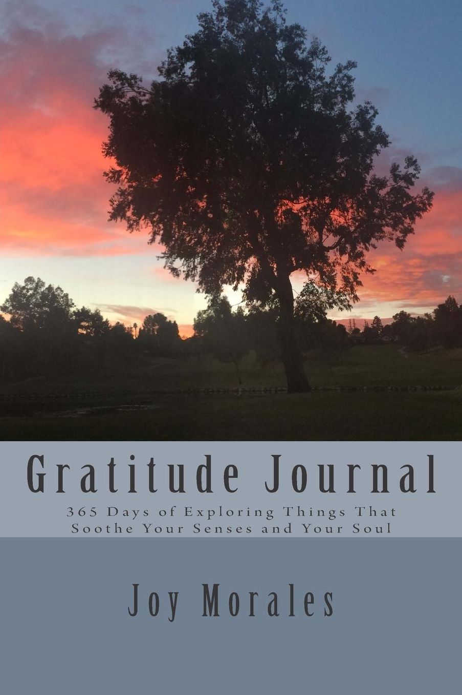Gratitude Journal: 365 Days of Exploring Things That Soothe Your Senses and Your Soul