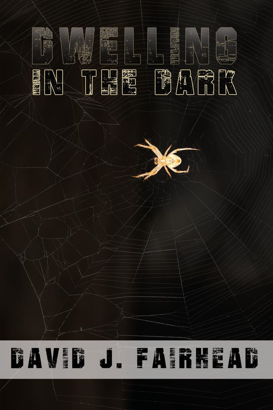 Dwelling in the Dark