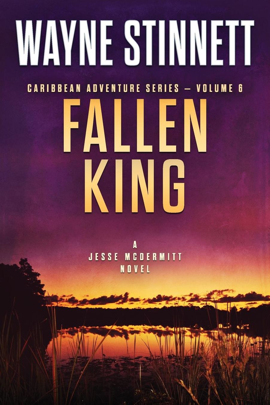 Fallen King: A Jesse McDermitt Novel