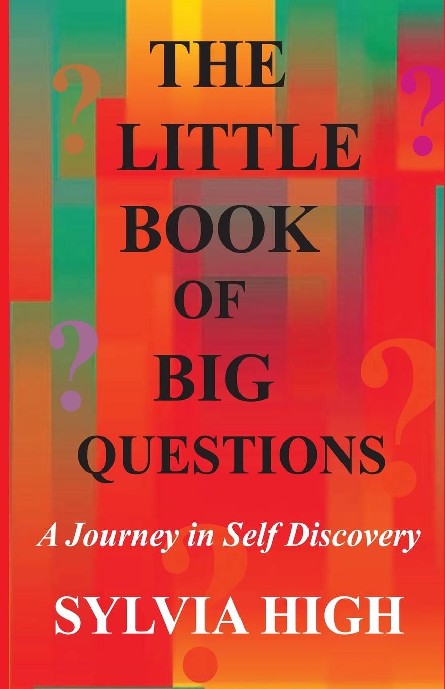 The Little Book of Big Questions: A Journey in Self Discovery