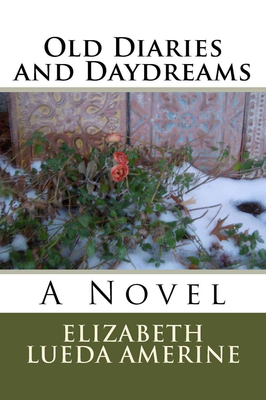 Old Diaries and Daydreams: A Novel