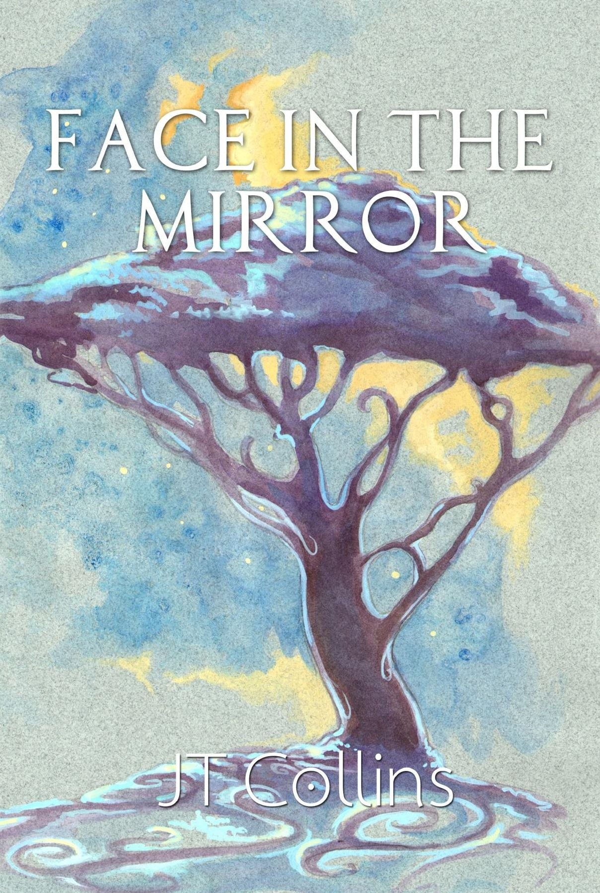 Face in the Mirror