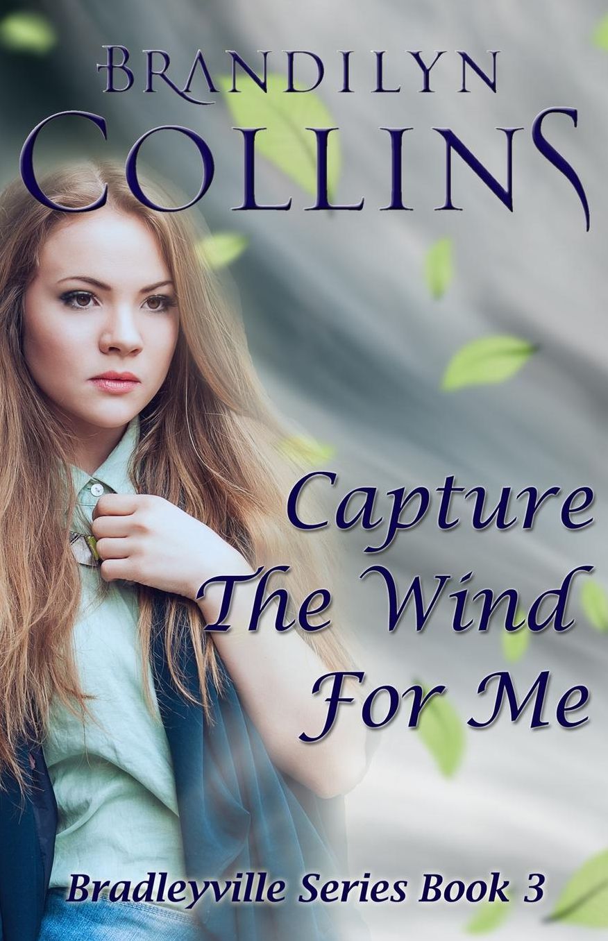 Capture The Wind For Me