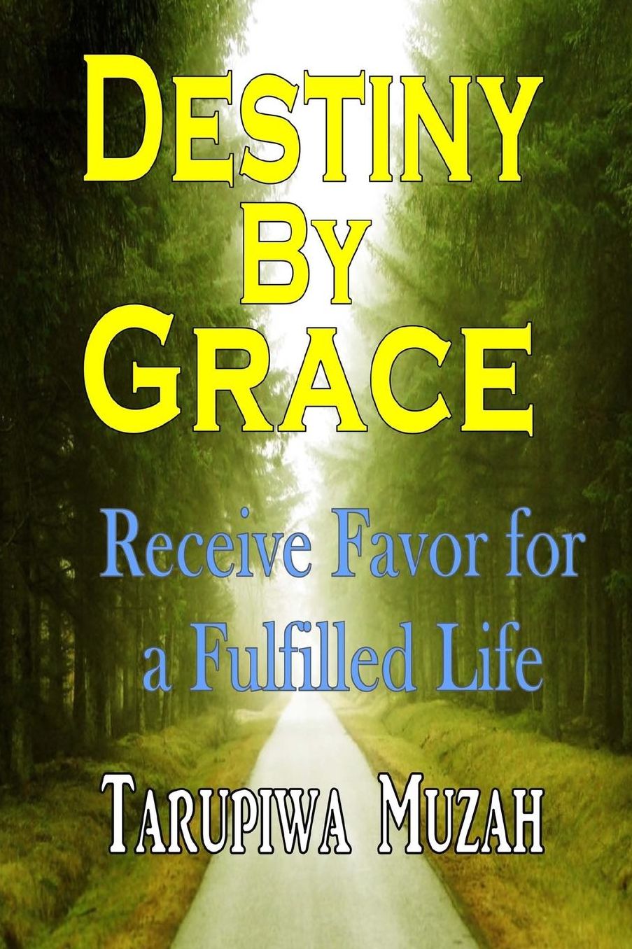 Destiny By Grace: Receive Favor For A Fulfilled Life