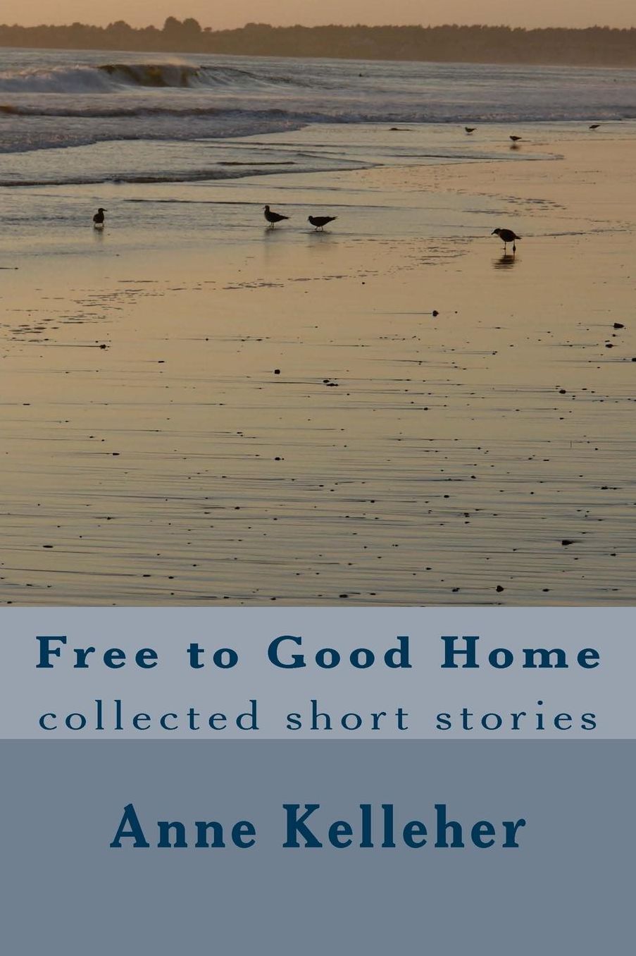 Free to Good Home: collected short stories