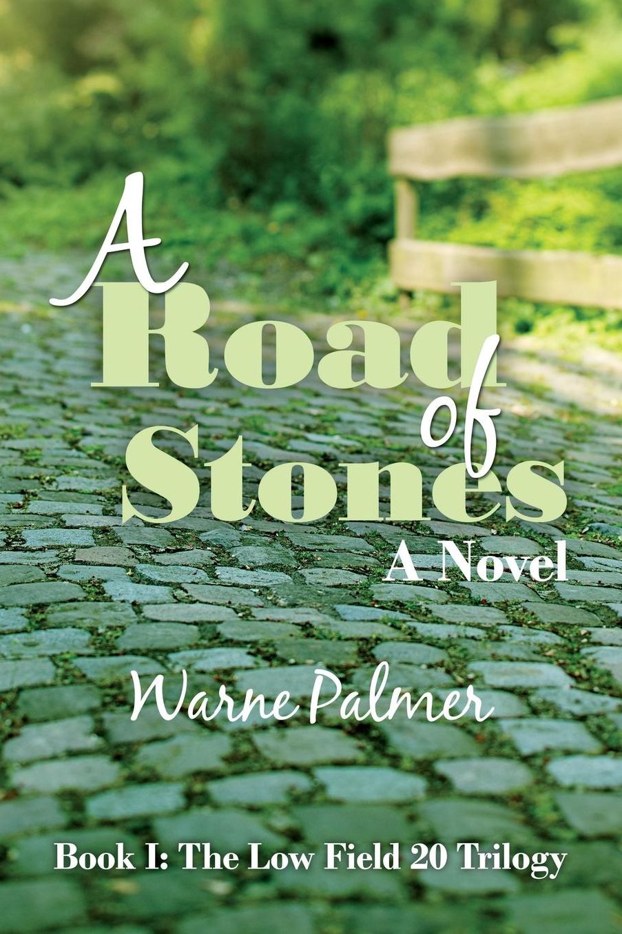 A Road of Stones: a novel