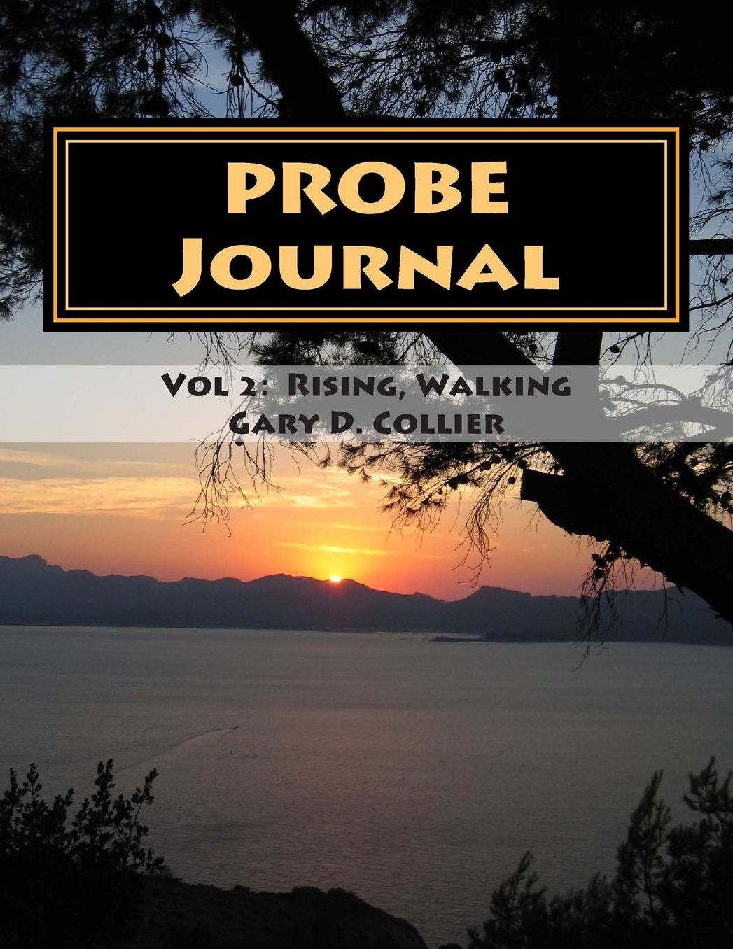 The PROBE Journal: For Unrelenting Faith Volume 2- Rising, Walking. 1Thessalonians, Conversations 9-20
