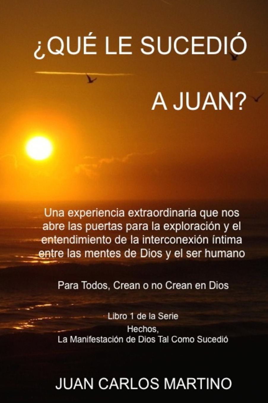 Que le Sucedio a Juan?: Una experiencia extraordinaria que nos abre las puertas para la exploracion y el entendimiento de la interconexion intima entre las mentes de Dios y el ser humano. Para todos, crean o no crean en Dios.